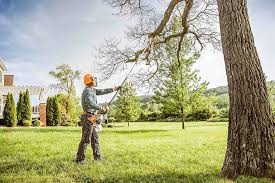 Best Tree Mulching  in Rockton, IL